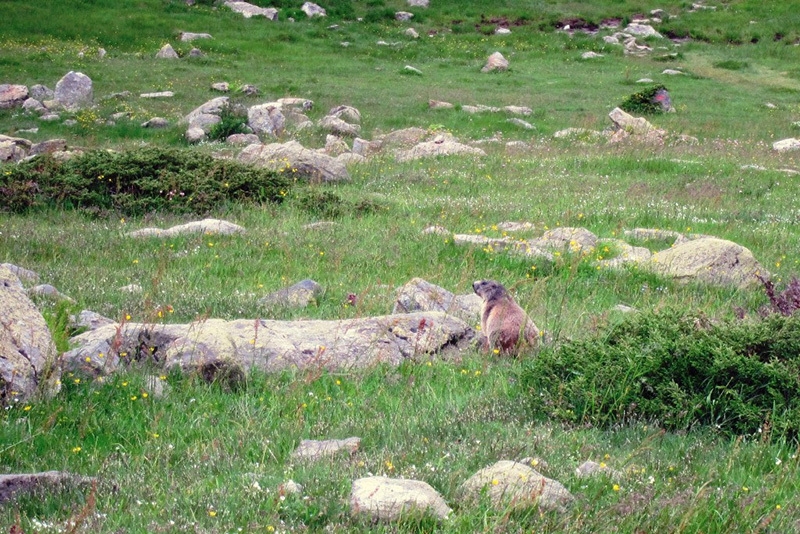 Massi della Luna - Alta Valle Gesso - Cuneo Alps