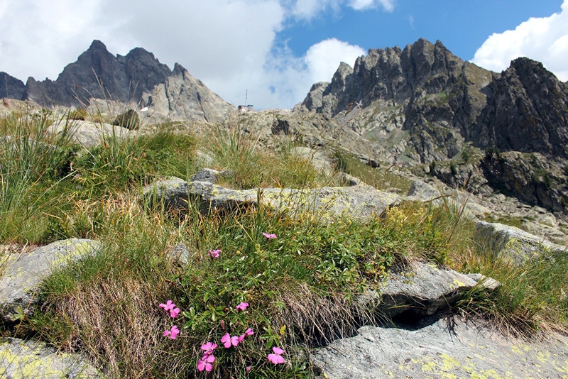 Massi della Luna - alta Valle Gesso - Alpi cuneesi