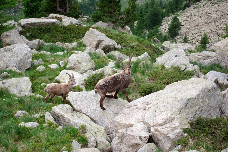 Massi della Luna - alta Valle Gesso - Alpi cuneesi