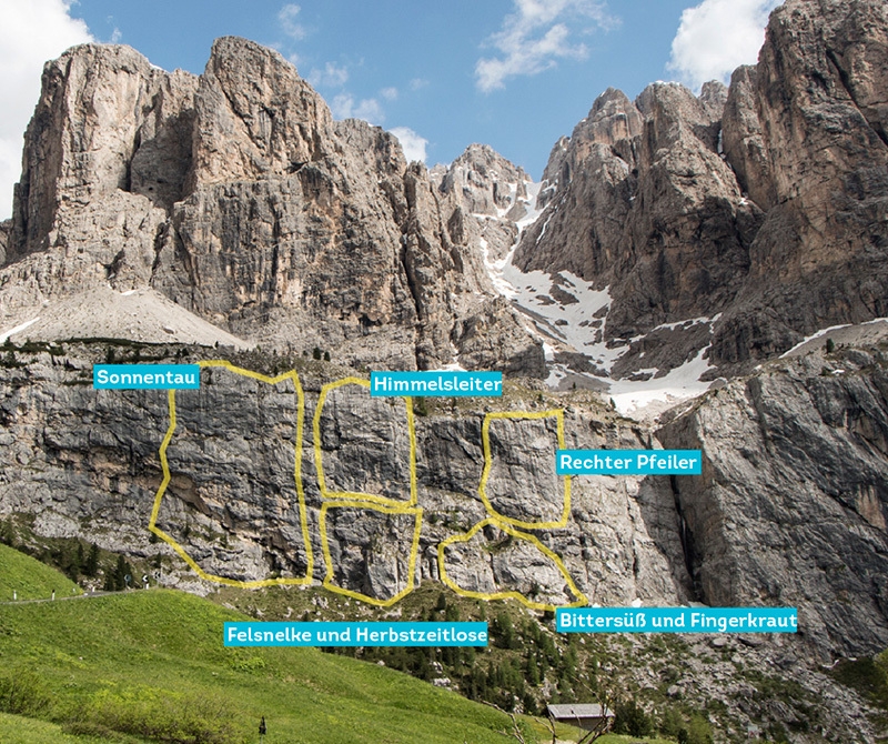 Frea, Dolomites