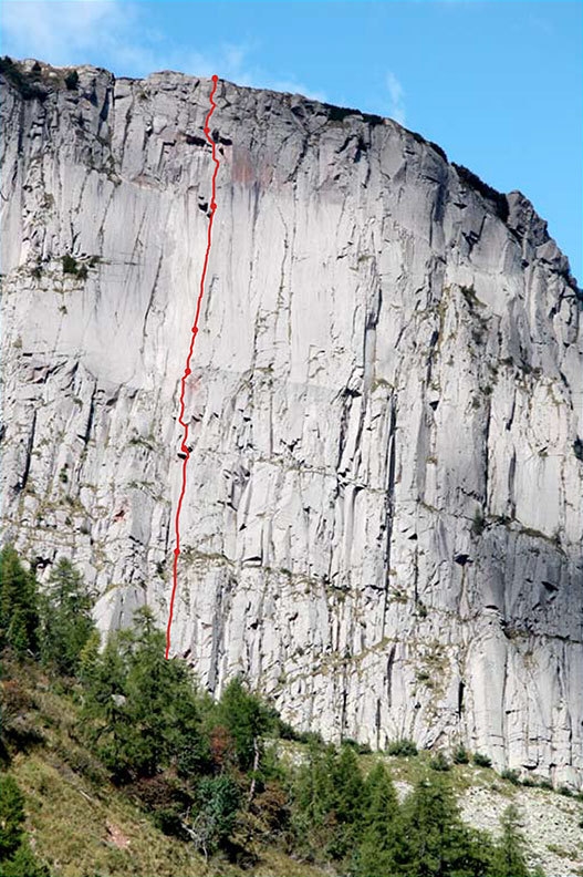 Pinne gialle - Tognazza, Dolomites