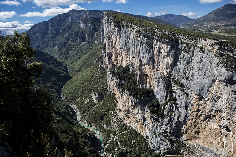 Federica Mingolla, Verdon