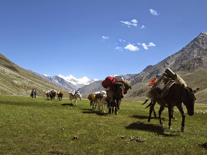 Miyar valley, Himachal Pradesh, India