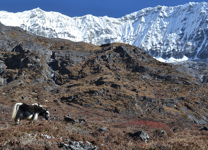 Rolwaling, Nepal, Himalaya