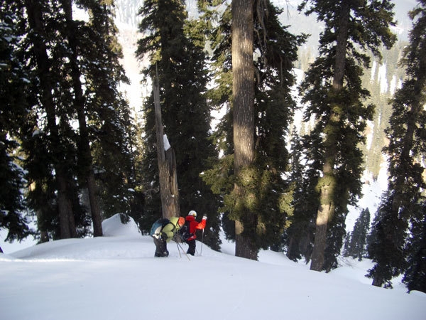 Kashmiri Powder