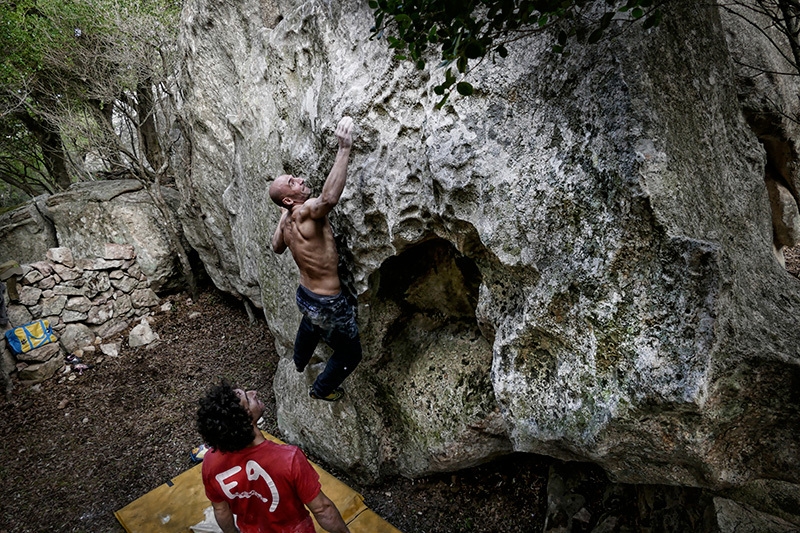 Bosco di Luogosanto, Sardinia