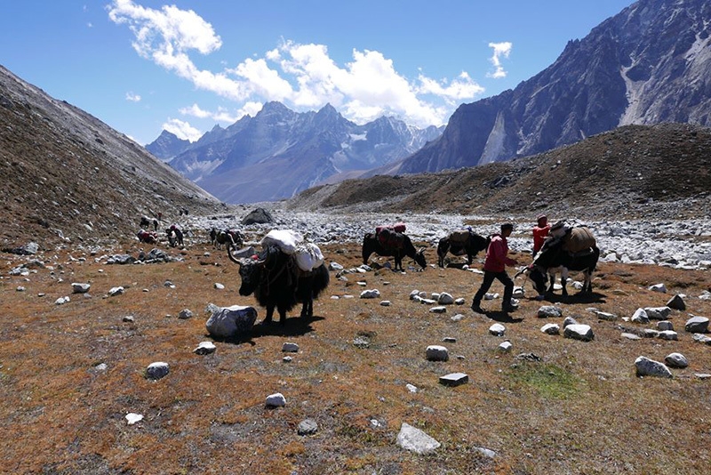 Dazampa Tse, Nepal