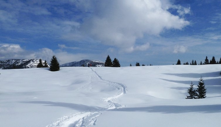 Winter walks to Trentino mountain huts