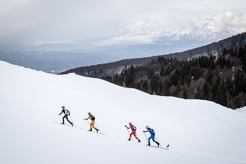 33° Transcavallo, Alpago