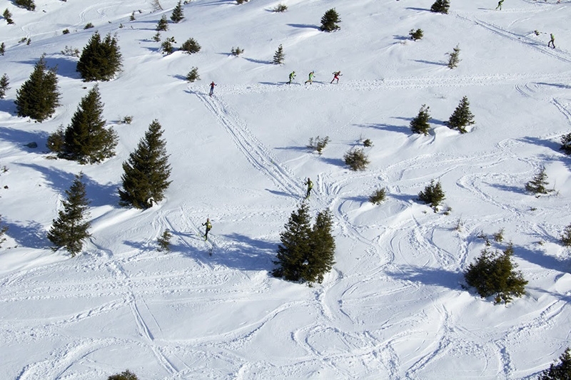 33° Transcavallo, Alpago