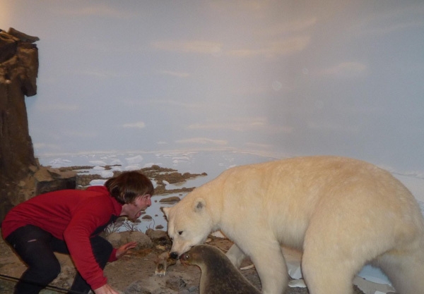 Baffin Island