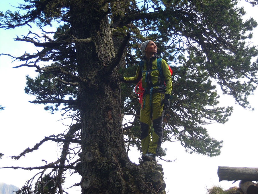 Torvagando for Nepal #2 - Mont Aiguille