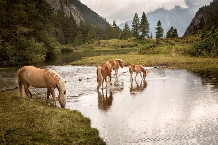 Lagorai, Dolomites, Trentino, Alta Via del Granito