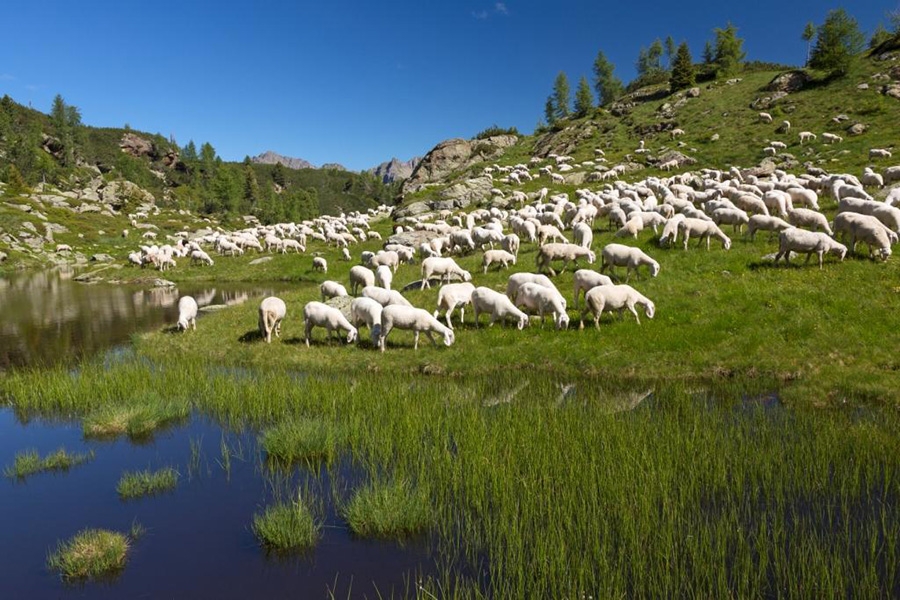 Lagorai, Dolomites, Trentino, Alta Via del Granito