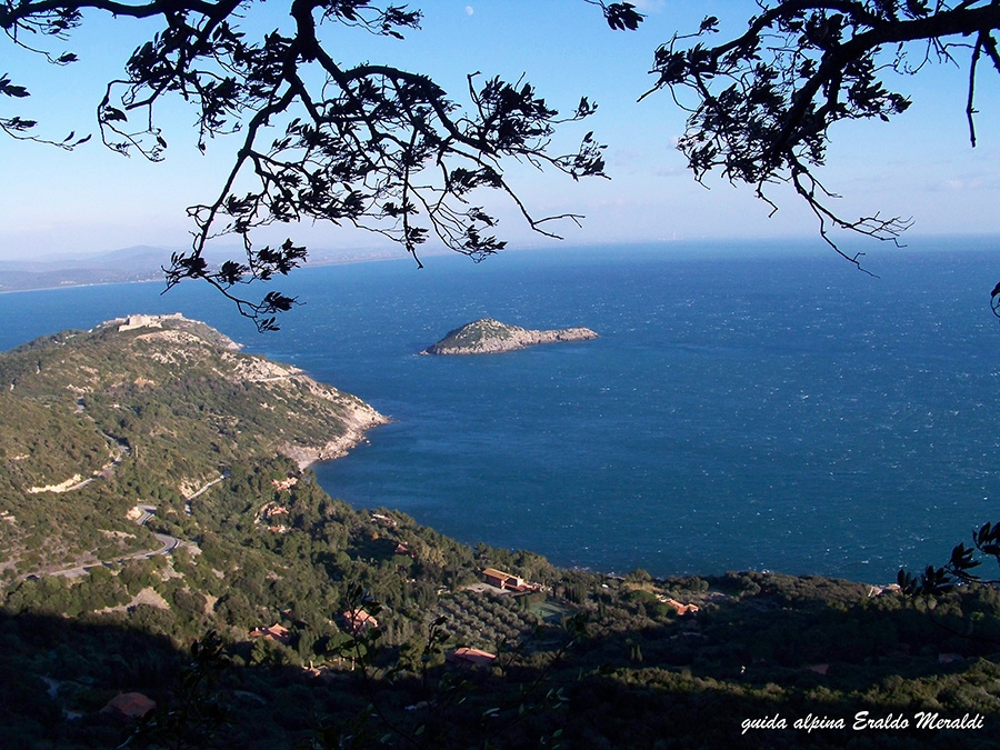 Monte Argentario, Costa della Scogliera, Canne d'Organo