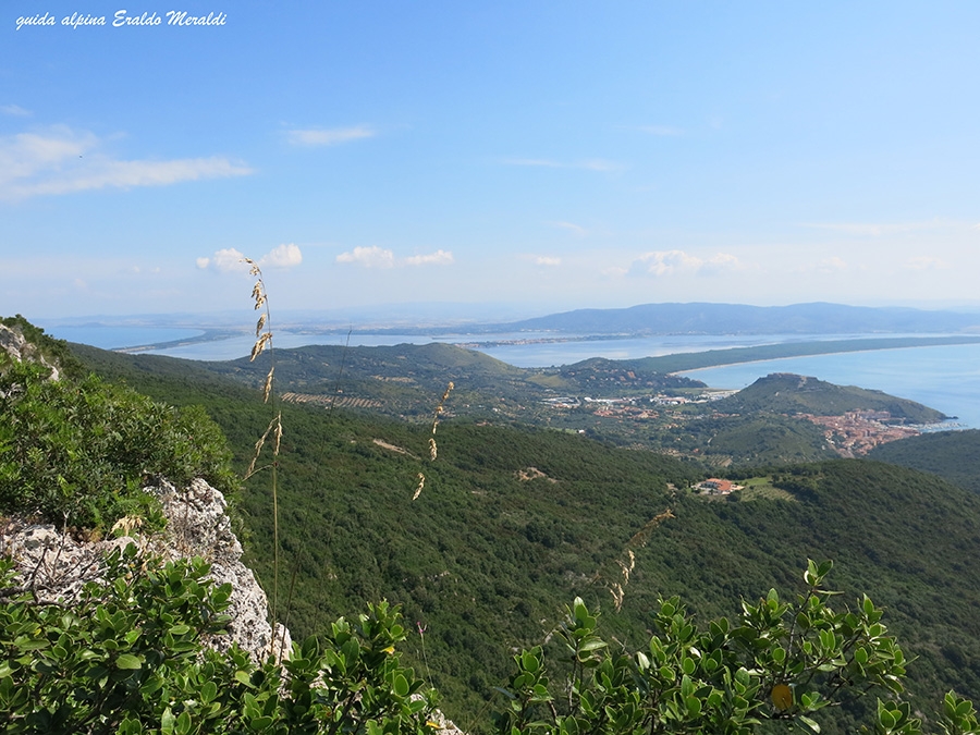 Monte Argentario, Costa della Scogliera, Canne d'Organo