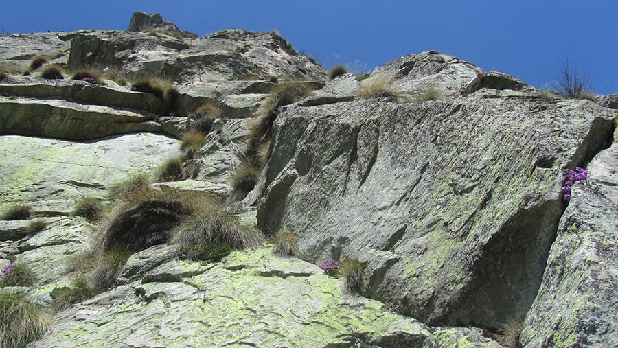 Parete del Silenzio, Valle del Lys, Valle di Gressoney, climbing
