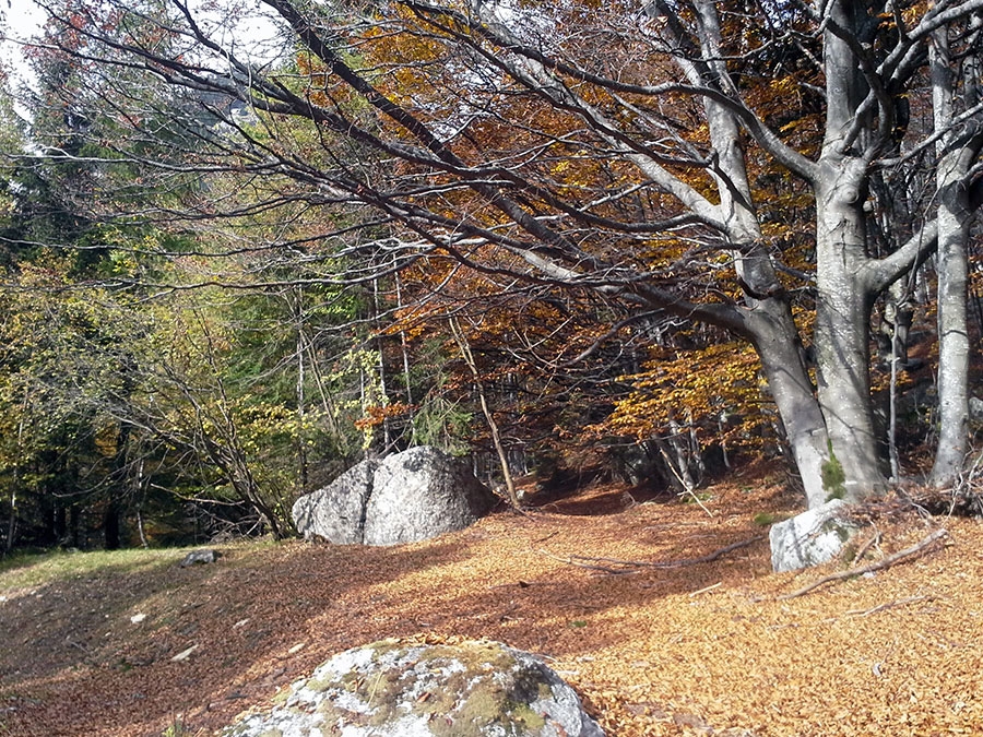 Roci Ruta, Val Grande di Lanzo, arrampicata