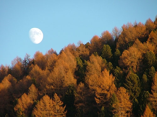 Ritten South Tyrol walking trekking Italy