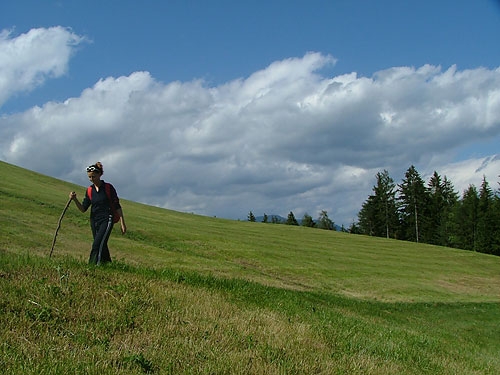 Altopiano del Renon Alto Adige camminare trekking