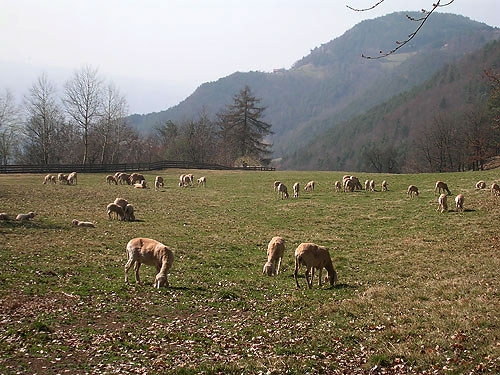 Ritten South Tyrol walking trekking Italy