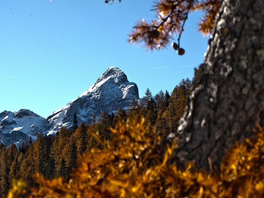 Impronte di dinosauri, Pelmo, Dolomiti