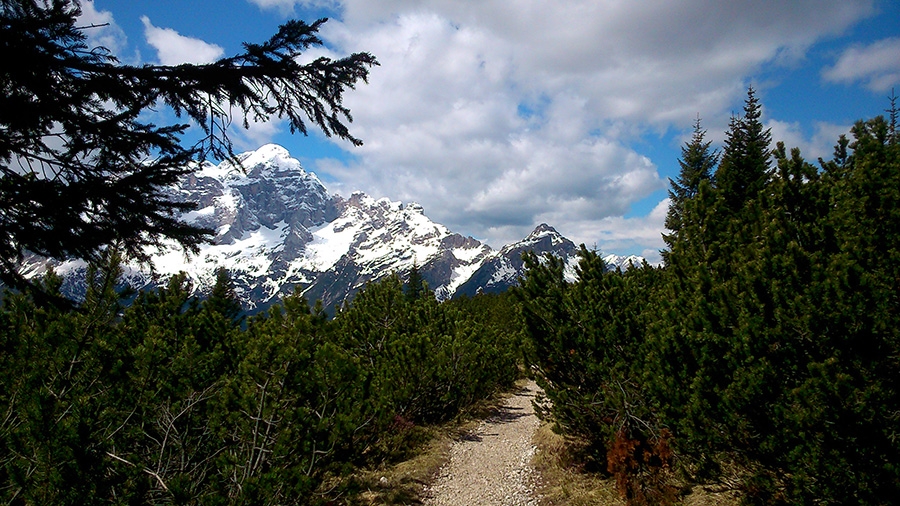 Dinosaur footprints, Pelmo, Dolomites