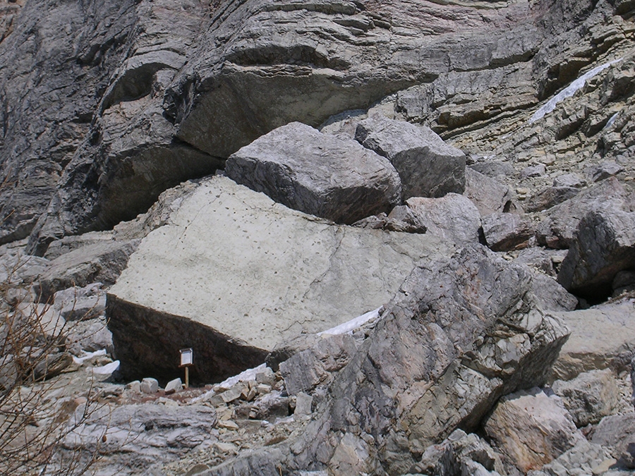 Dinosaur footprints, Pelmo, Dolomites