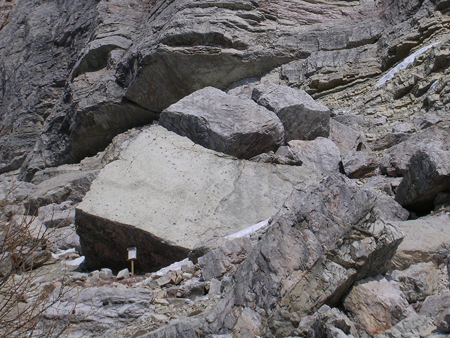 Impronte di dinosauri, Pelmo, Dolomiti