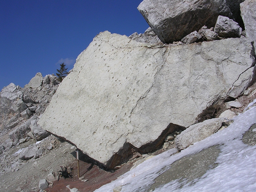 Dinosaur footprints, Pelmo, Dolomites