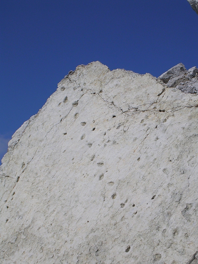 Dinosaur footprints, Pelmo, Dolomites
