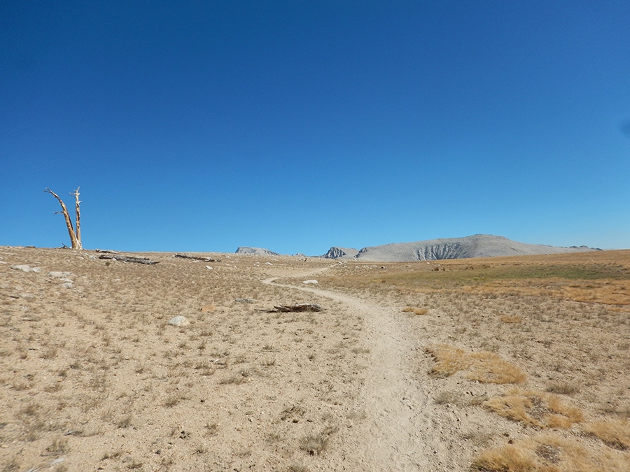 John Muir Trail, trekking USA