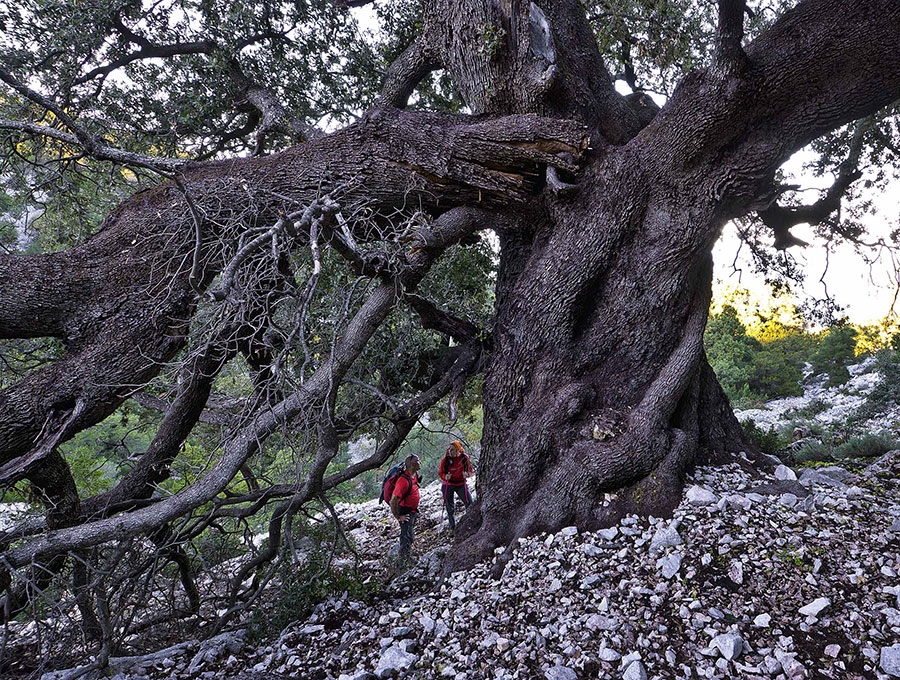 Oltre Selvaggio Blu, Sardinia
