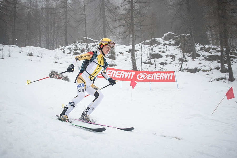 Ski Mountaineering World Championships 2017 Alpago - Piancavallo