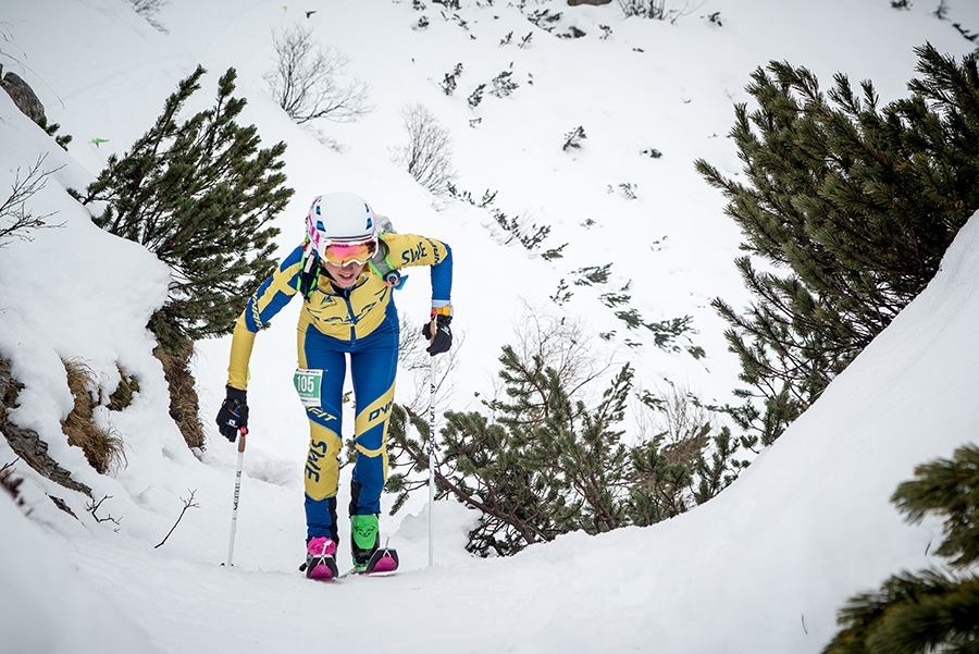 Ski Mountaineering World Championships 2017 Alpago - Piancavallo