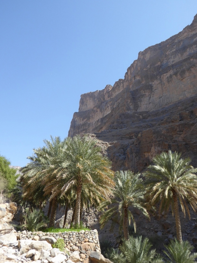 Oman Climbing Trip, Daniele Canale, Manrico Dell’Agnola, Tommaso Lamantia, Giovanni Pagnoncelli, Marcello Sanguineti