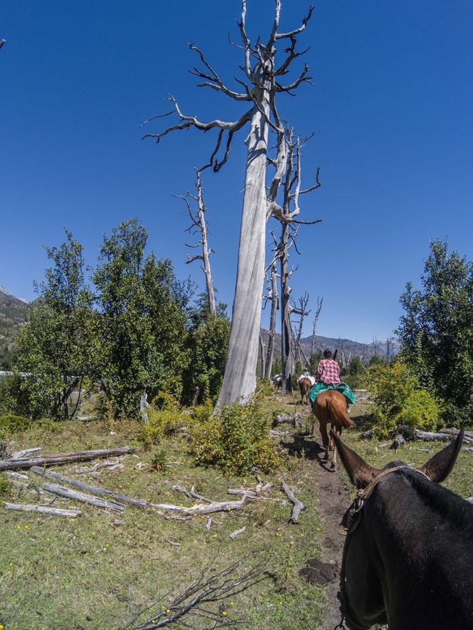 Cerro Mariposa, l'avventura patagonica di Luca Schiera e Paolo Marazzi