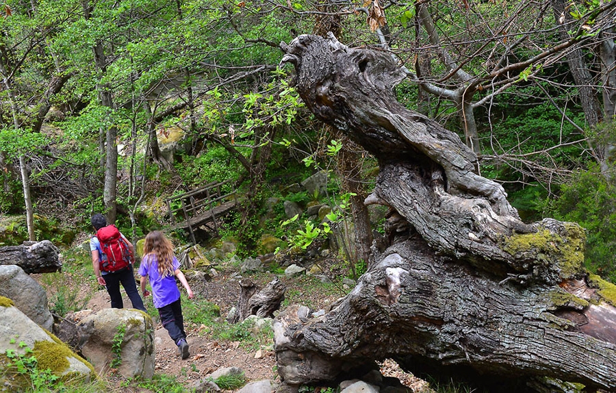 Isola d'Elba, Tuscany, walking