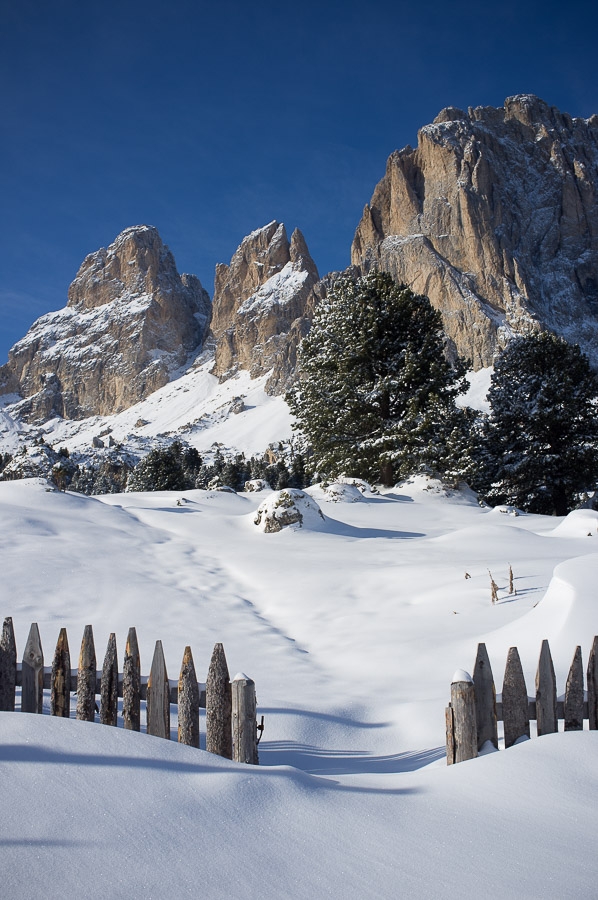 Sassolungo, Langkofel, Dolomites