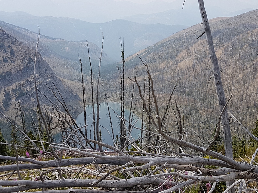 Continental Divide Trail, CDT, Rocky Mountains, trekking, Diego Salvi, Benigno Carrara