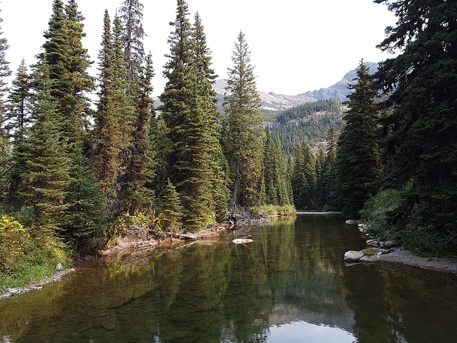 Continental Divide Trail, CDT, Rocky Mountains, trekking, Diego Salvi, Benigno Carrara