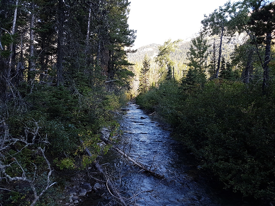 Continental Divide Trail, CDT, Rocky Mountains, trekking