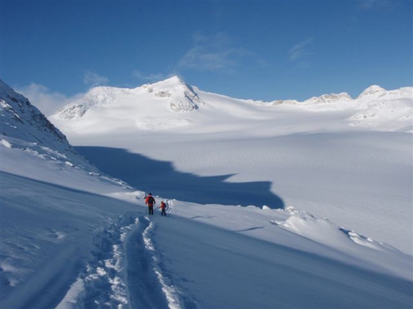 Scialpinismo Adamello