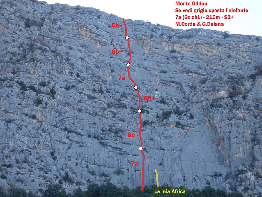Monte Oddeu, Se vedi grigio sposta l'elefante, Marco Corda, Giacomo Deiana