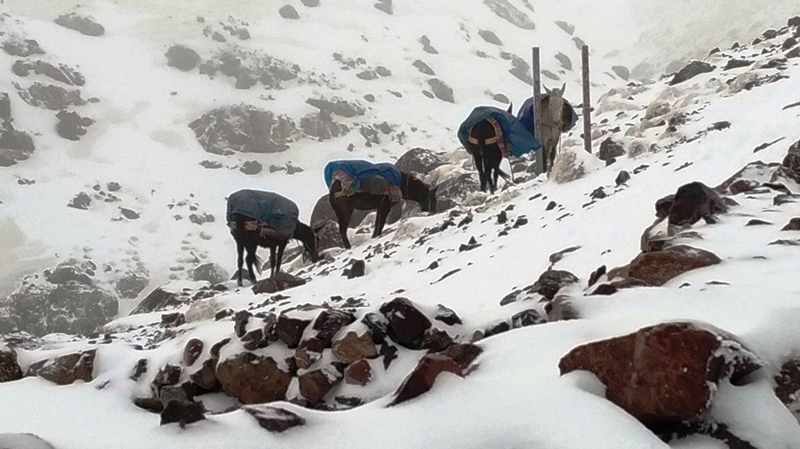 Ski mountaineering in Morocco High Atlass Mountains