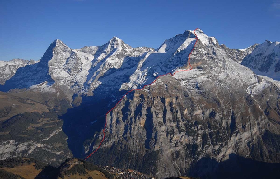 Roger Schäli, David Hefti, Jungfraumarathon