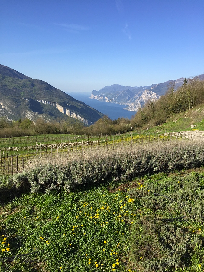 Trekking Lago di Garda