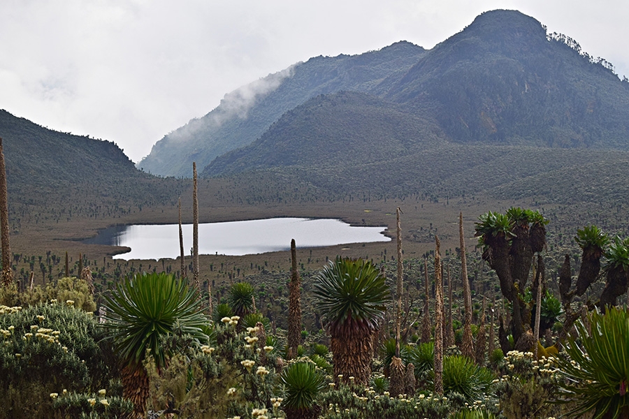 Rwenzori Bukurungu Trail