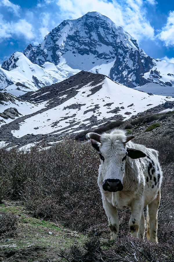 Dasbar Valley, Pakistan, Bas Visscher, Danny Schoch, Ruud Rotte, Menno Schokker