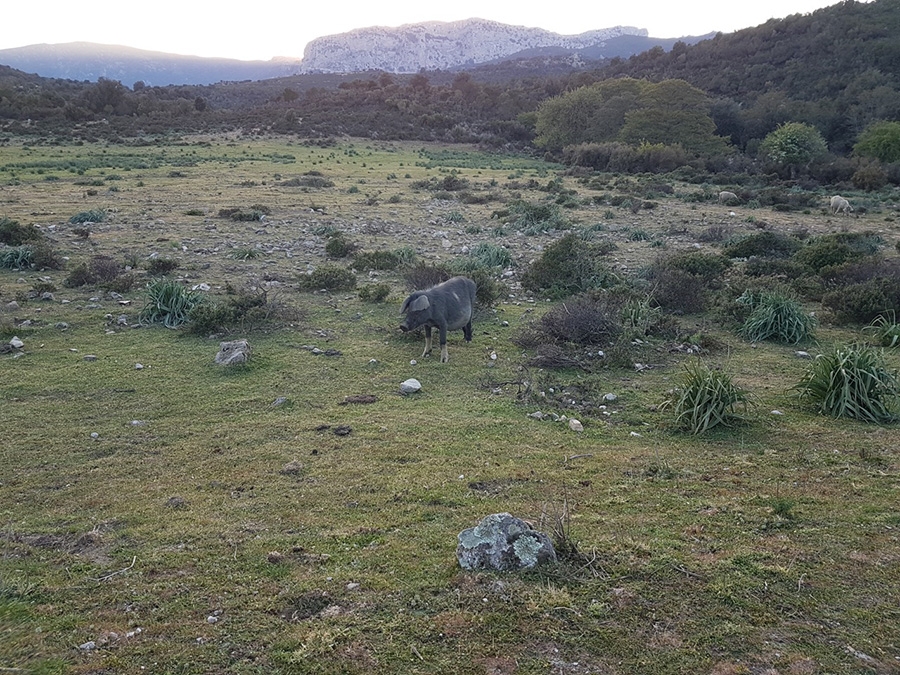 Sardinia climbing, Mezzogiorno di pietra